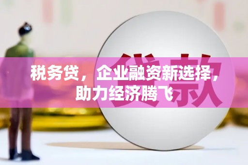龙湾税务贷，企业融资新选择，助力经济腾飞