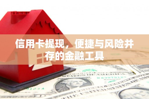 龙湾信用卡提现，便捷与风险并存的金融工具