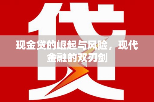 龙湾现金贷的崛起与风险，现代金融的双刃剑