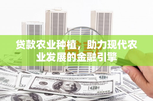 龙湾贷款农业种植，助力现代农业发展的金融引擎