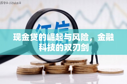 龙湾现金贷的崛起与风险，金融科技的双刃剑