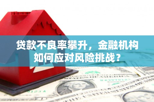 龙湾贷款不良率攀升，金融机构如何应对风险挑战？