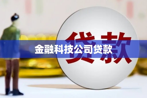 龙湾金融科技公司贷款