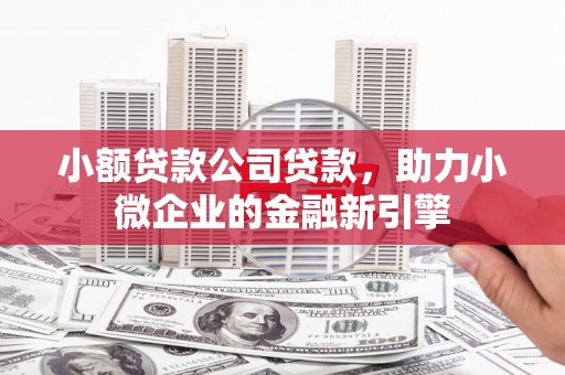 龙湾小额贷款公司贷款，助力小微企业的金融新引擎
