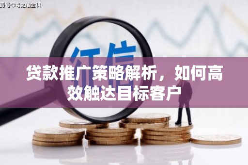 龙湾贷款推广策略解析，如何高效触达目标客户
