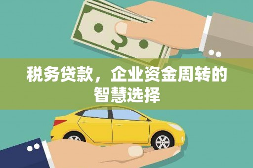 龙湾税务贷款，企业资金周转的智慧选择