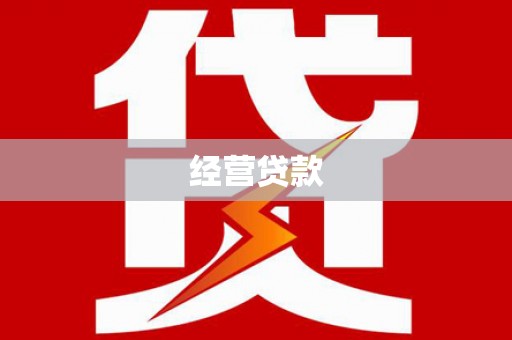 龙湾经营贷款