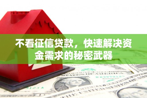 龙湾不看征信贷款，快速解决资金需求的秘密武器