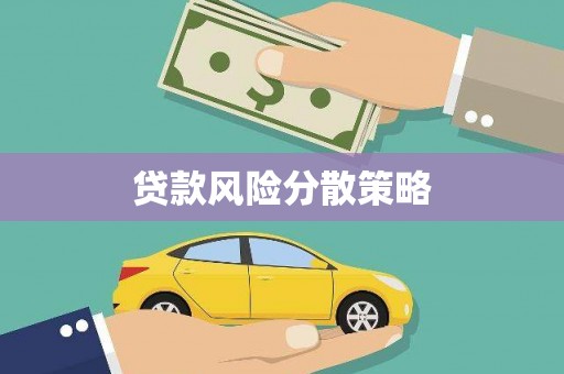 龙湾贷款风险分散策略
