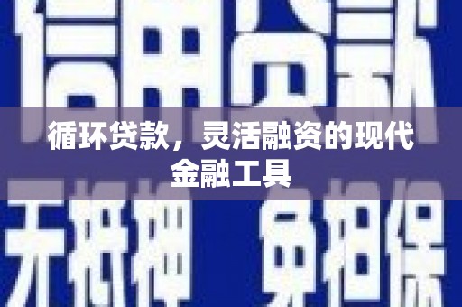 龙湾循环贷款，灵活融资的现代金融工具