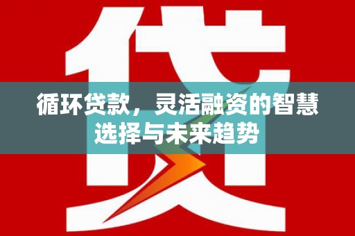 龙湾循环贷款，灵活融资的智慧选择与未来趋势