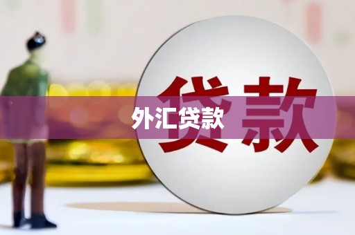 龙湾外汇贷款