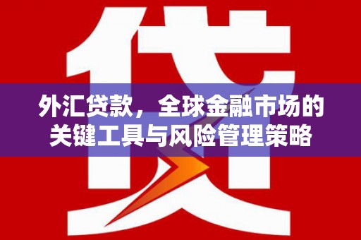 龙湾外汇贷款，全球金融市场的关键工具与风险管理策略