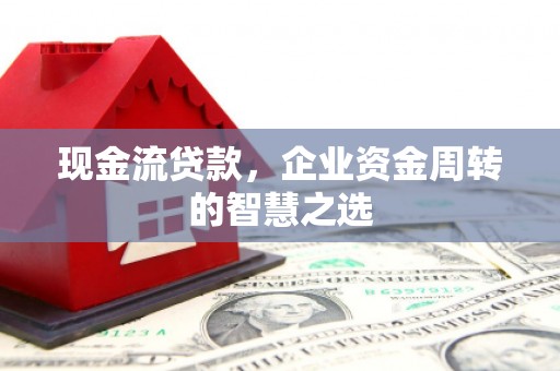 龙湾现金流贷款，企业资金周转的智慧之选