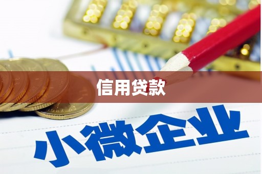 龙湾信用贷款