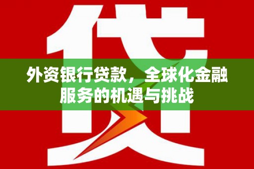 龙湾外资银行贷款，全球化金融服务的机遇与挑战