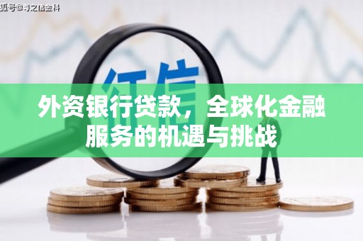 龙湾外资银行贷款，全球化金融服务的机遇与挑战