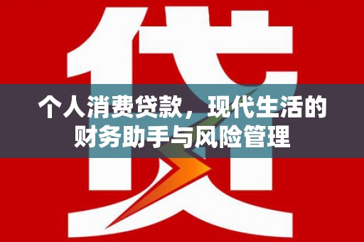 龙湾个人消费贷款，现代生活的财务助手与风险管理