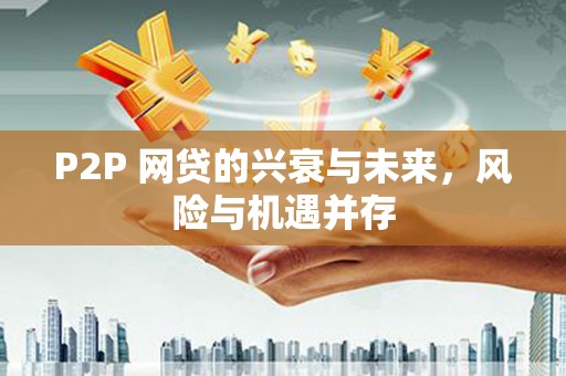 龙湾P2P 网贷的兴衰与未来，风险与机遇并存