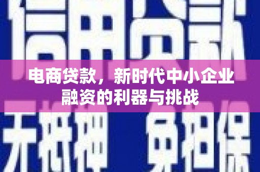龙湾电商贷款，新时代中小企业融资的利器与挑战