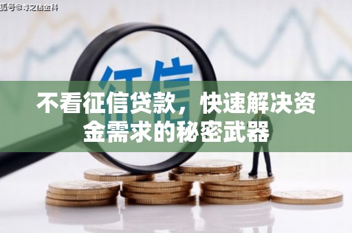 龙湾不看征信贷款，快速解决资金需求的秘密武器
