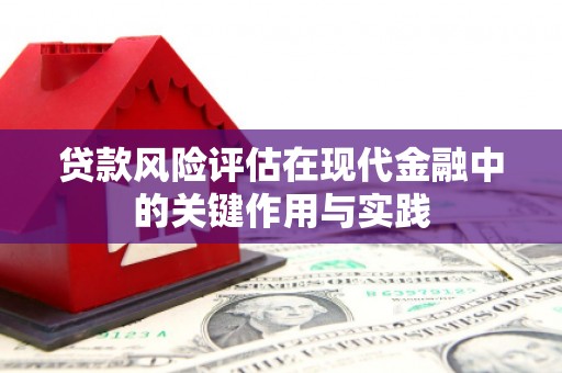 龙湾贷款风险评估在现代金融中的关键作用与实践