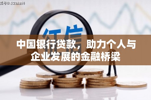 龙湾中国银行贷款，助力个人与企业发展的金融桥梁