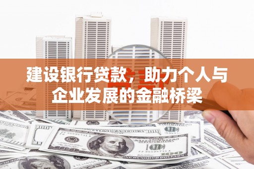 龙湾建设银行贷款，助力个人与企业发展的金融桥梁