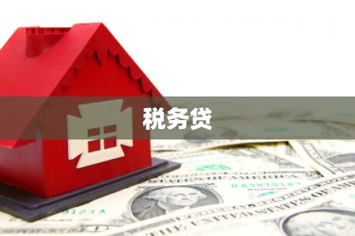 龙湾税务贷