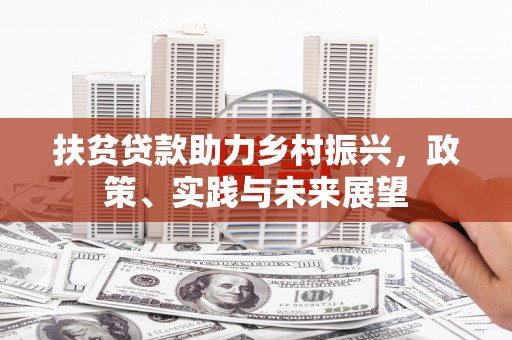 龙湾扶贫贷款助力乡村振兴，政策、实践与未来展望