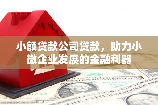 龙湾小额贷款公司贷款，助力小微企业发展的金融利器