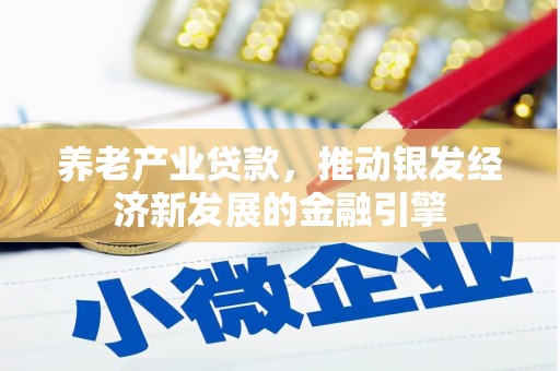 龙湾养老产业贷款，推动银发经济新发展的金融引擎