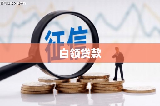 龙湾白领贷款