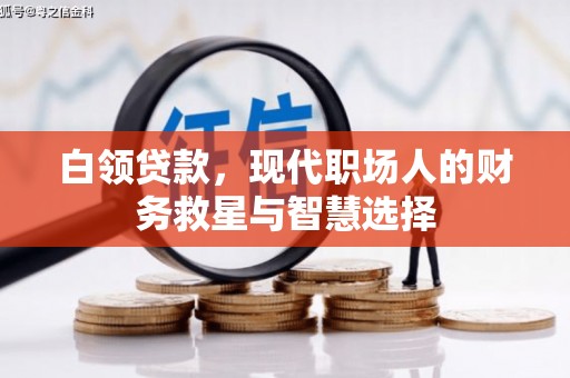 龙湾白领贷款，现代职场人的财务救星与智慧选择