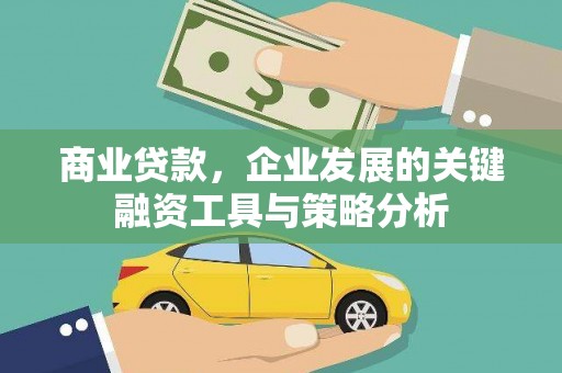 龙湾商业贷款，企业发展的关键融资工具与策略分析