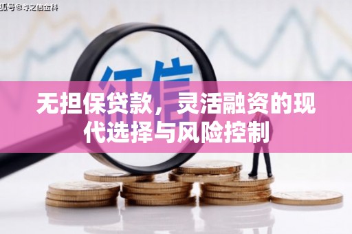 龙湾无担保贷款，灵活融资的现代选择与风险控制
