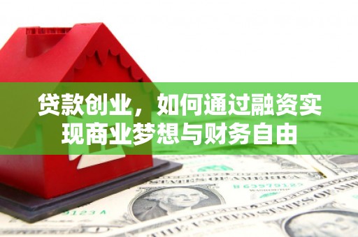 龙湾贷款创业，如何通过融资实现商业梦想与财务自由