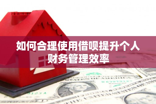 龙湾如何合理使用借呗提升个人财务管理效率