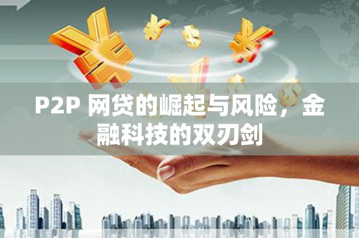 龙湾P2P 网贷的崛起与风险，金融科技的双刃剑