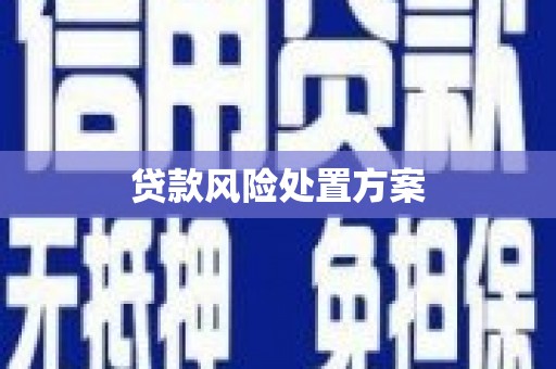 龙湾贷款风险处置方案