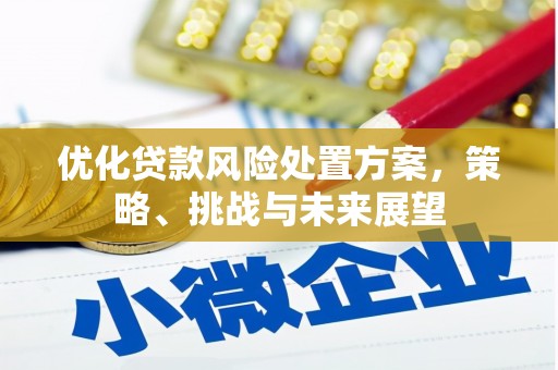 龙湾优化贷款风险处置方案，策略、挑战与未来展望