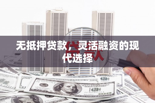 龙湾无抵押贷款，灵活融资的现代选择