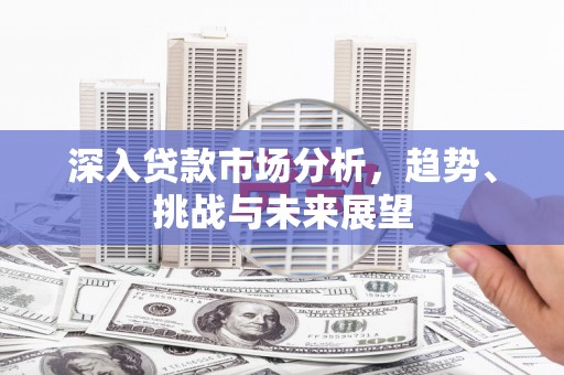 龙湾深入贷款市场分析，趋势、挑战与未来展望