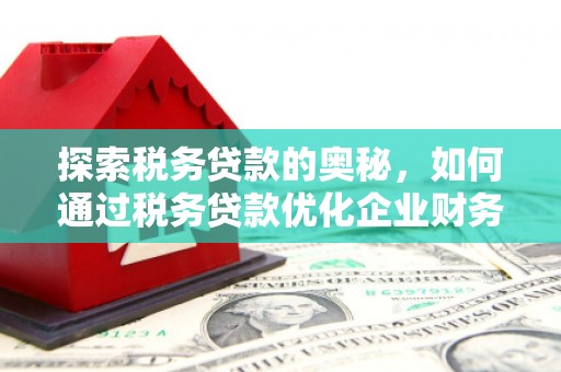 龙湾探索税务贷款的奥秘，如何通过税务贷款优化企业财务