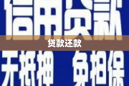 龙湾贷款还款