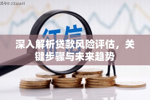 龙湾深入解析贷款风险评估，关键步骤与未来趋势