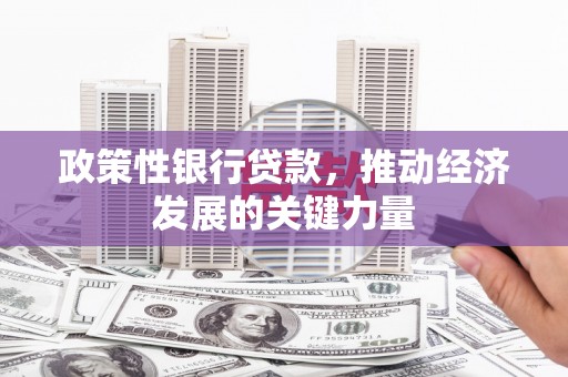 龙湾政策性银行贷款，推动经济发展的关键力量