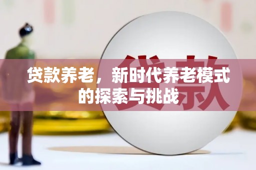 龙湾贷款养老，新时代养老模式的探索与挑战