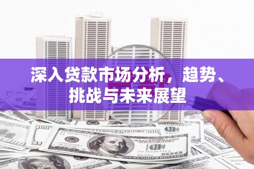 龙湾深入贷款市场分析，趋势、挑战与未来展望