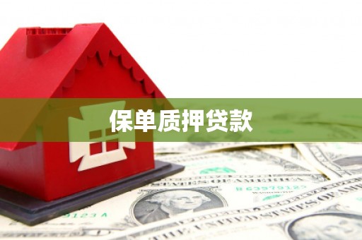 龙湾保单质押贷款